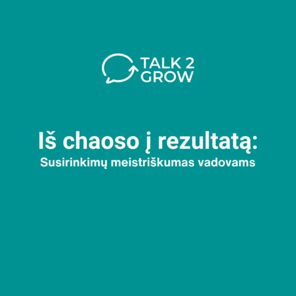 Iš chaoso į rezultatą: susirinkimų meistriškumas vadovams